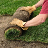 Sod Service